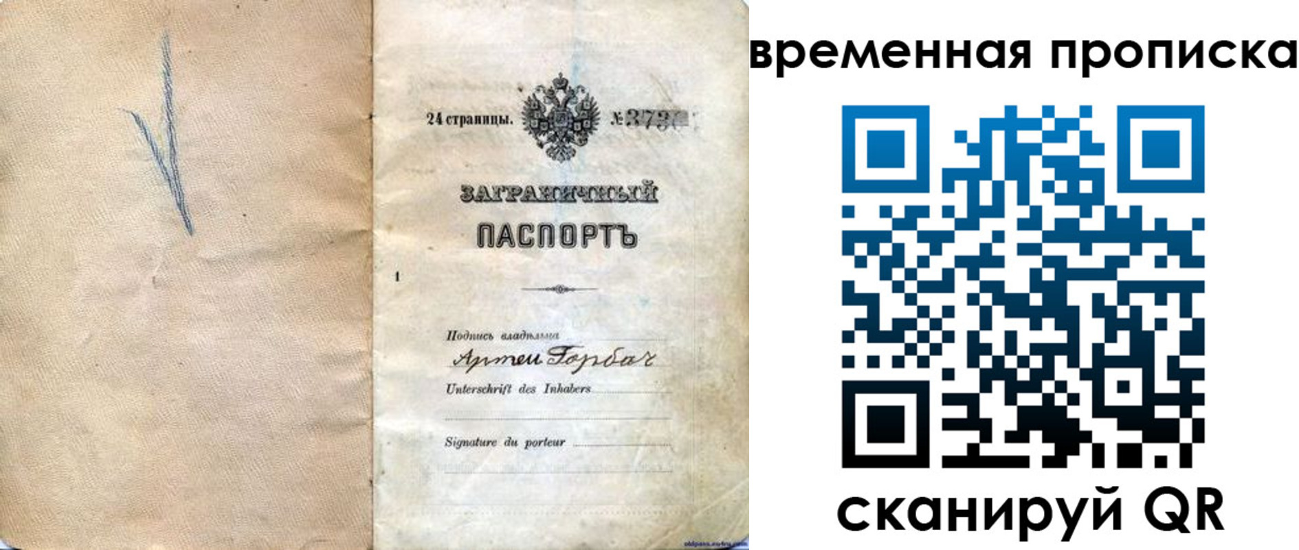 прописка поиск в Бородино
